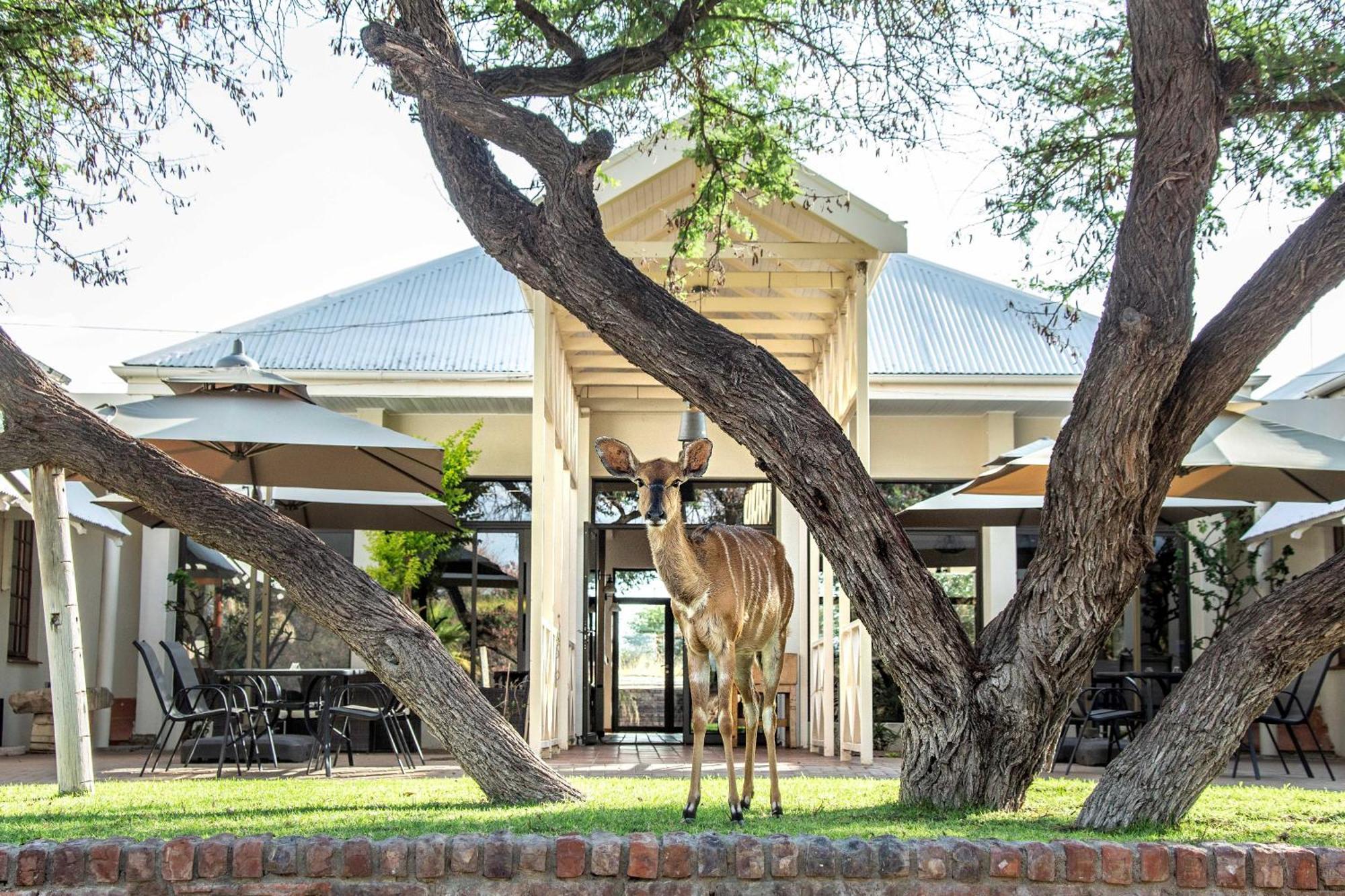 Otjibamba Lodge Otjiwarongo Exterior foto