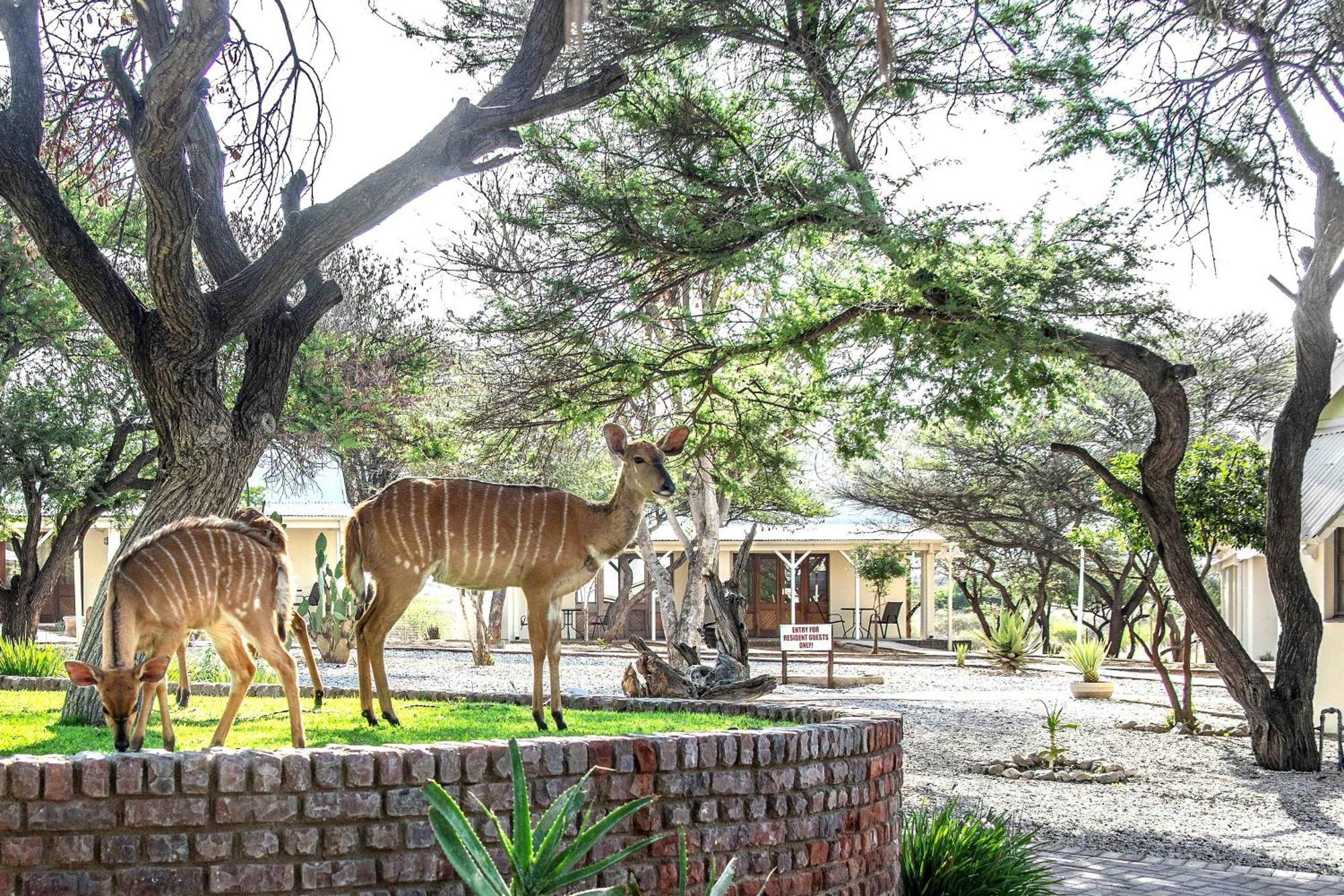 Otjibamba Lodge Otjiwarongo Exterior foto